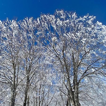 Snow Horizon Apartment Hakuba Exterior foto